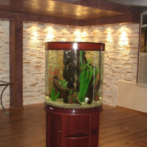 Колони с Рафаело Мадреперлато и стени с естествен камък